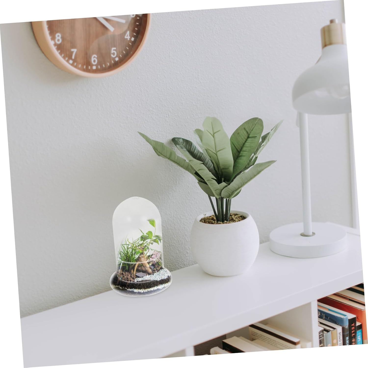 2pcs Moss Glass Bottle for Micro Landscape Decoration High Borosilicate Glass Terrarium Holder for DIY Home Decor for Miniature Plants and Ornaments