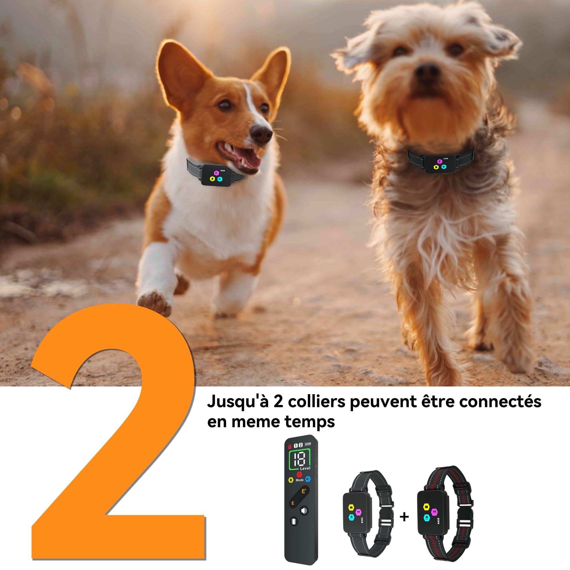 Collier de Dressage pour Chien Meloive, Portée 3000 Mètres, 3 Modes Vibration/Choc/Son, Rechargeable, 2 Colliers