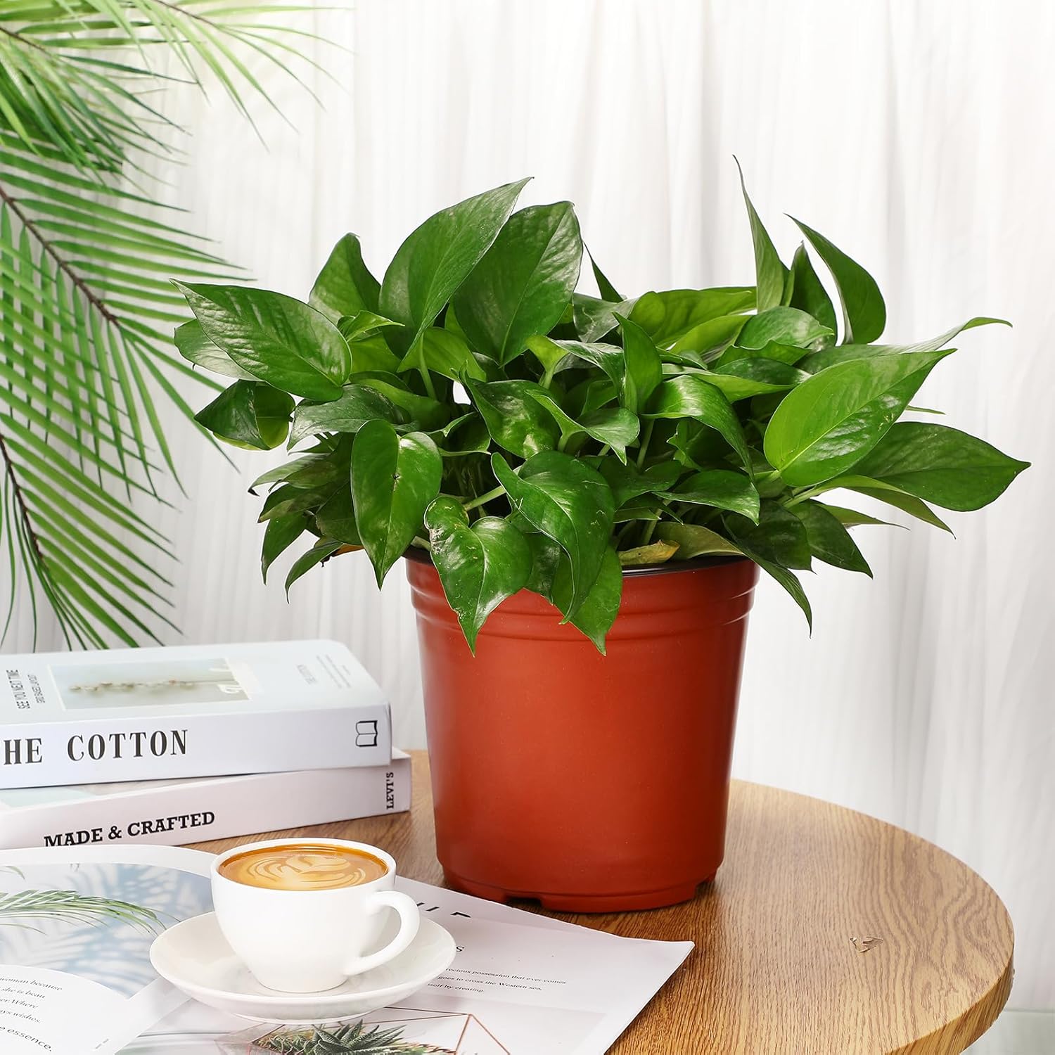 150 Pcs Plastic Plants Nursery Pot Bulk Seed Starting Pots Small Seedling Plant Pot for Outdoor Indoor Planting Garden Flower Succulents Cuttings Transplanting Planter (8 Inch)