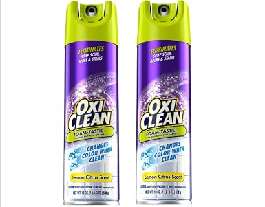 Amazon.com: OxiClean Foam-Tastic Bathroom Cleaner 19oz. (2-Pack ...