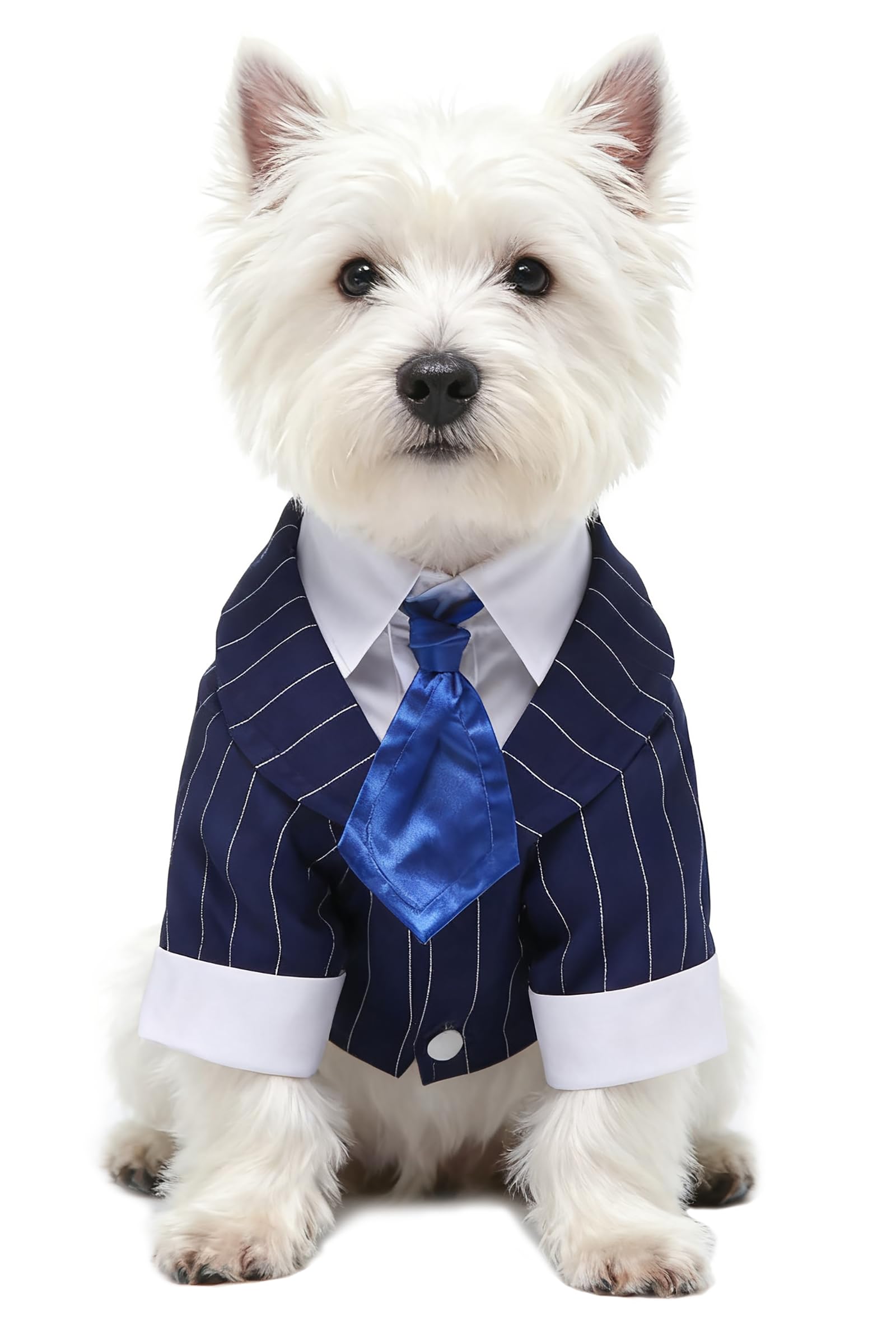 GabeFish Pets Wedding Jackets Suit for Dogs with Bow Tie Puppy Cat Formal Clothes Shirt Tuxedo (BlueStriped, L (Chest 17.3in/44cm)