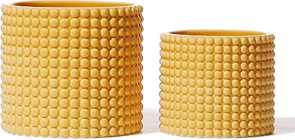 Amazon.com: Macetas de cerámica amarillas con diseño de hogues de estilo  vintage – recipientes de 6 y 5 pulgadas con tapón de drenaje de riego para  plantas suculentas o flores de interior :