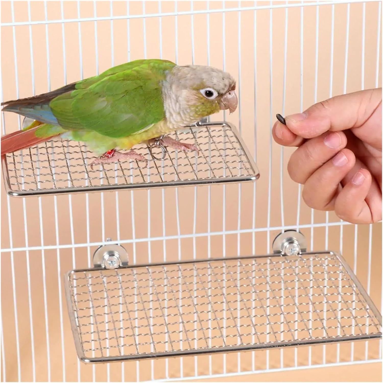 2 Pcs Parrot Perch Stainless Steel Easy to Clean Cage Accessories for Cockatiels Cockatoos Canaries Budgerigars