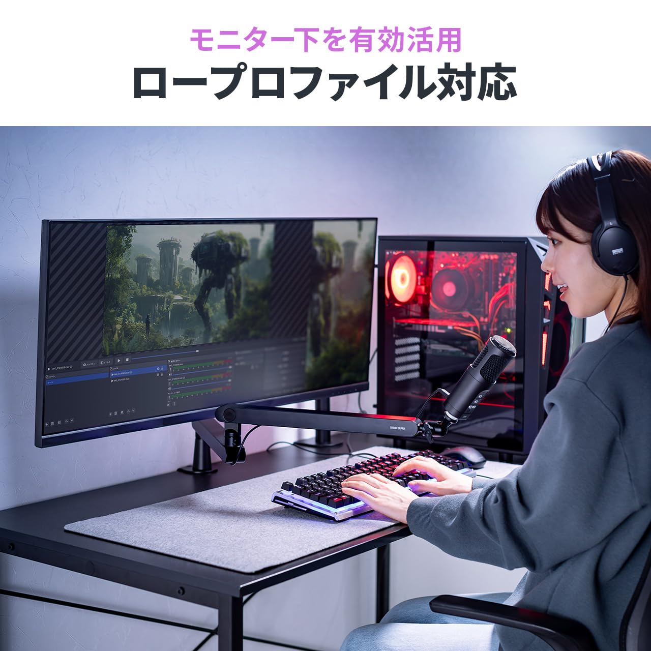 Amazon.co.jp: イーサプライ マイクアーム マイクブームアーム 卓上