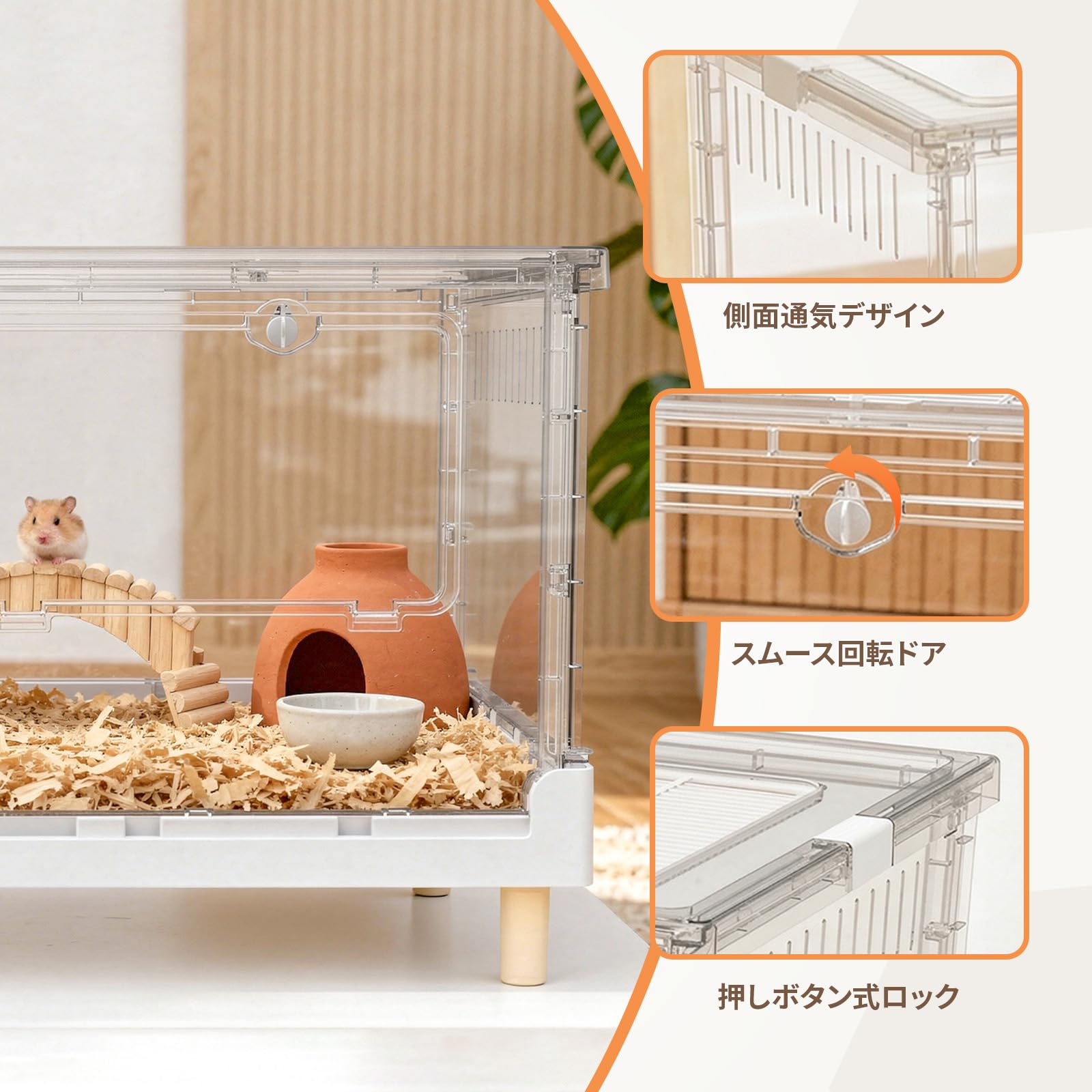 Amazon.co.jp: Ruexue
