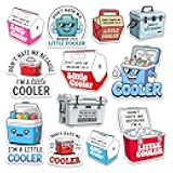3Pcs Dont Hate Me Because Im a Little Cooler Sticker Don't Hate Me Because I'm a Little Cooler I'm a Little Cool Little Cool Pun Stickers for Laptop Bottle Phone Car Helmet 3