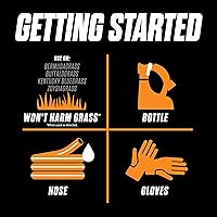 Vista 2 de Ortho WeedClear - Herbicida para el césped listo para rociar, elimina la patas de gallina, dientes de león y tréboles, 32 onzas