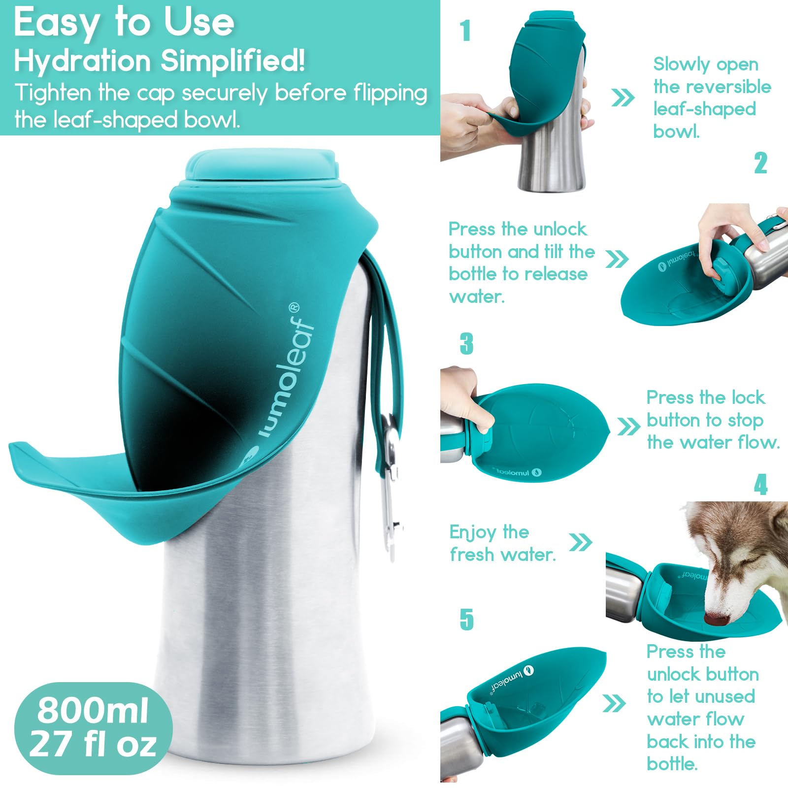 LumoLeaf Bouteilles d'eau Portables pour Chien de 800 ML, Distributeur d'eau de Voyage en Acier Inoxydable pour la Marche, la randonnée et l'extérieur, Bol d'eau Portable pour Grands (Blau/800ml)
