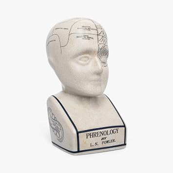 Assorted Collections Phrenology Head   Ceramic Ornament Collectable Retro Bust - Glaze finish   Doctor s desk   LN Fowler  Fortune Telling Statue - Brain senses 28CMs - White