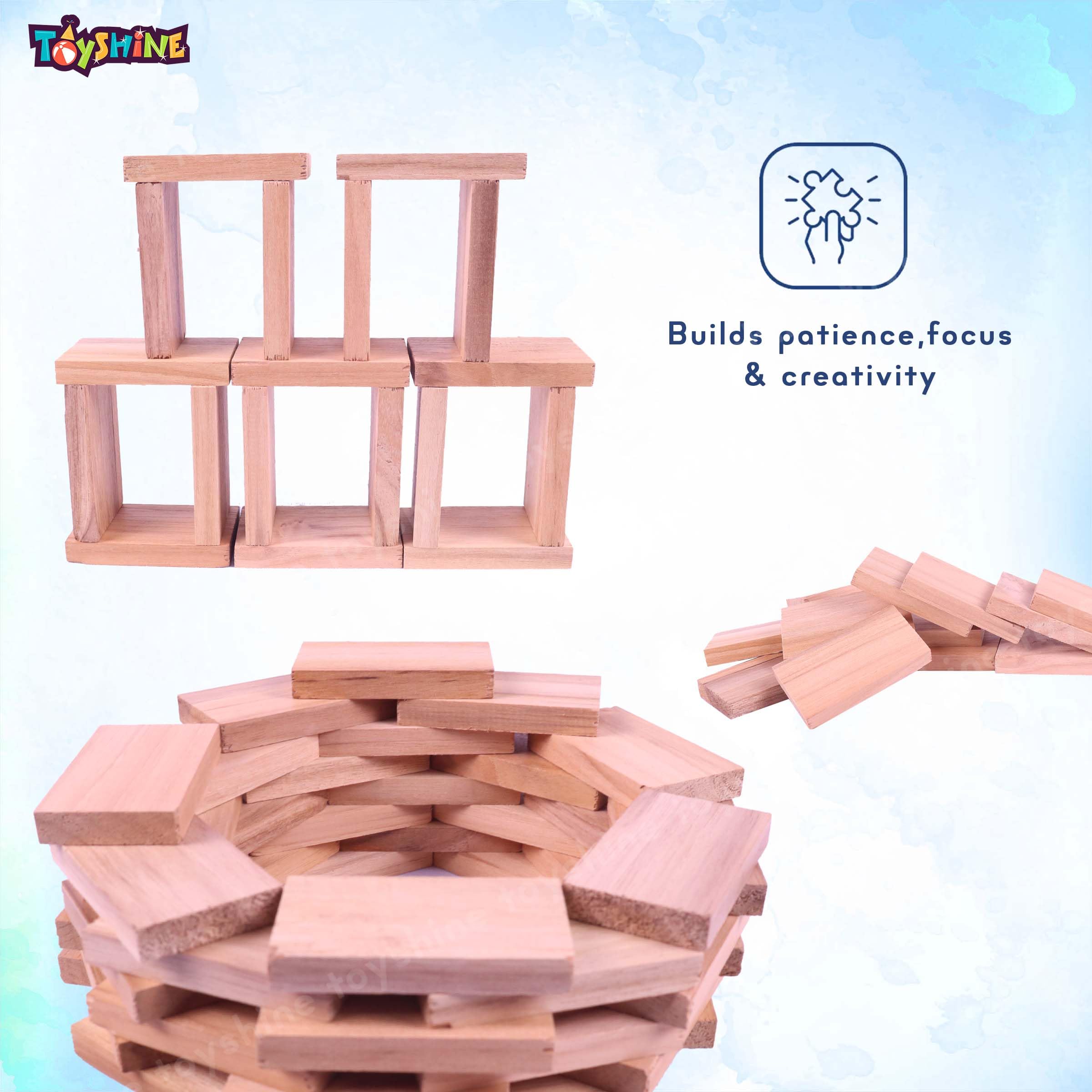 Toyshine 120 Pc All Natural Wooden Domino Blocks Set Domino Tile Bulk Building Racing Stacking Games Educational Toys for Kids Birthday Party Favor - Image 6 thumbnail