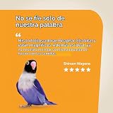 Ver la foto 5