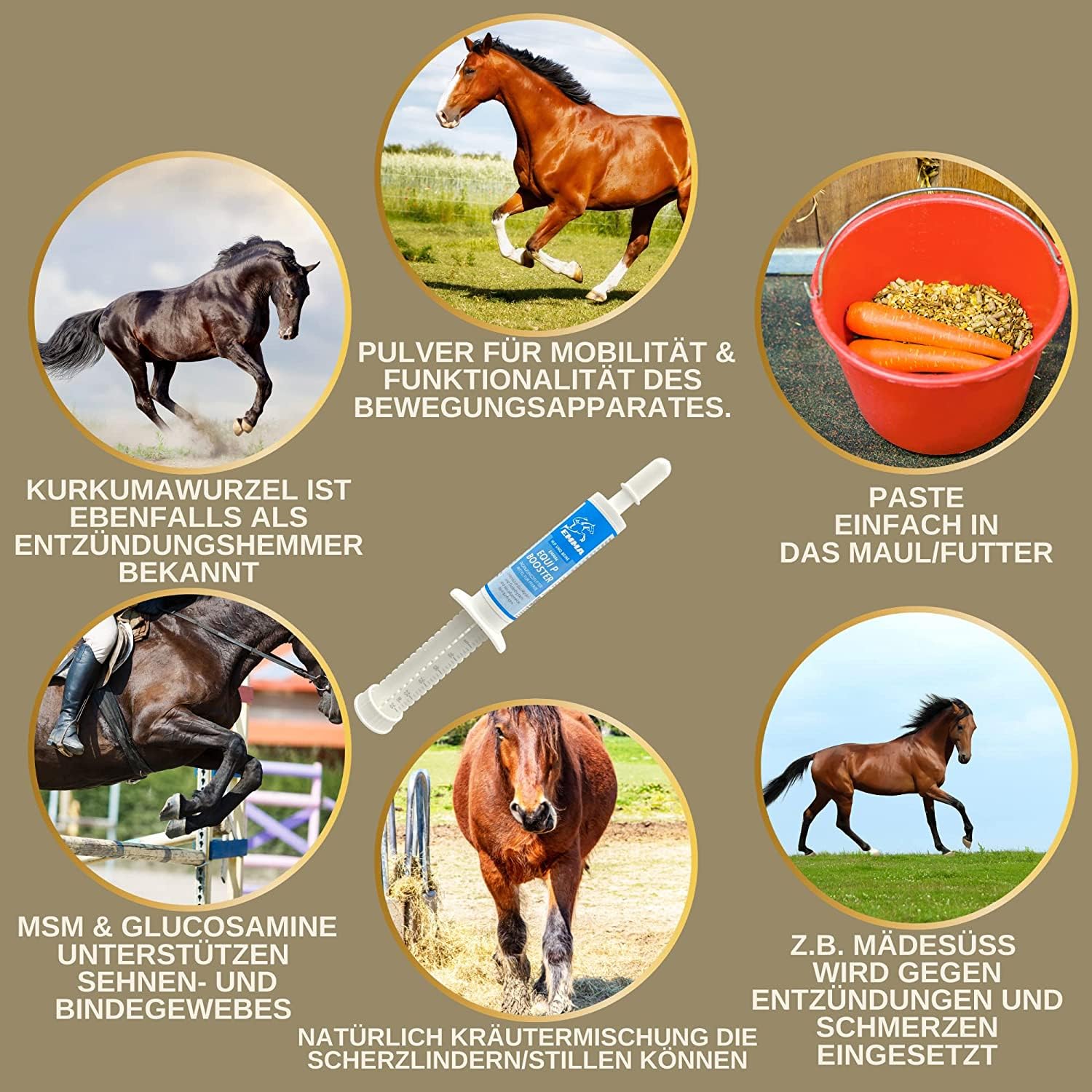 MSM Pferd Weidenrinde Pferd Equi P Booster Vitamin Paste für Gelenke Glucosamin Chondroitin MSM hochdosiert Vitamin C Bierhefe Bewegungsapparat Sehnen Bänder Knorpel Senioren Pferde 4 Stück