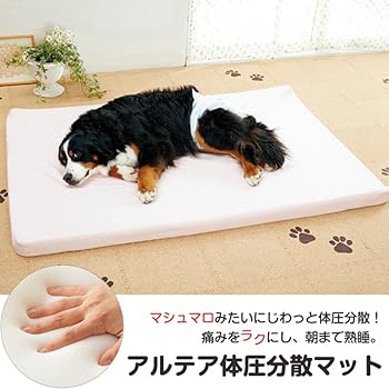 Amazon クッション シニア 老犬 老齢犬 体圧分散 床ずれ防止 寝たきり 犬 中型犬 大型犬 猫 ペット 日本産 アルテア体圧分散マット S 40 60cm 介護 ベッド 低反発 高反発 国産 ドドペット ベッド クッション 通販 Amazon クッション シニア 老犬 老齢犬 体圧分散 床ずれ防止 寝たきり 犬 中型犬 大型犬 猫 ペット 日本産 アルテア体圧分散マット S 40 60cm 介護 ベッド 低反発 高反発 国産 ドドペット ベッド クッション 通販