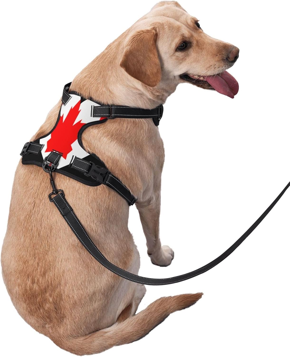 Love Canadian Flag No Pull Dog Vest Harness for Small Medium Large Dog Puppy Pets Cats Outdoor Walking