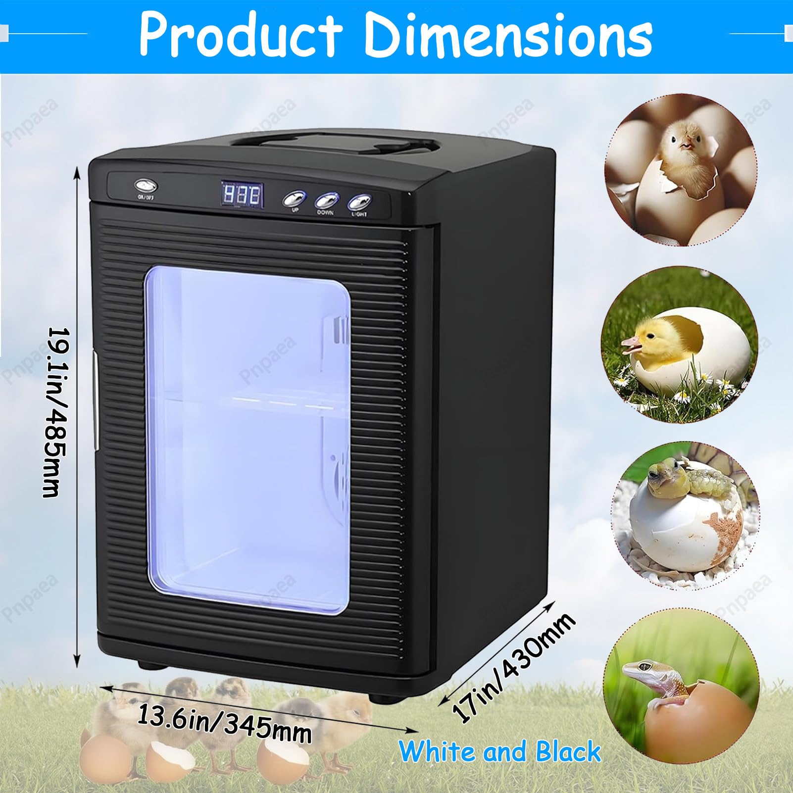 400W incubadora Digital de Huevos,Incubadora 5°-60°C, 25L Automático Incubadora Incubadora con Temperatura Constante para Reptiles o Anfibios White