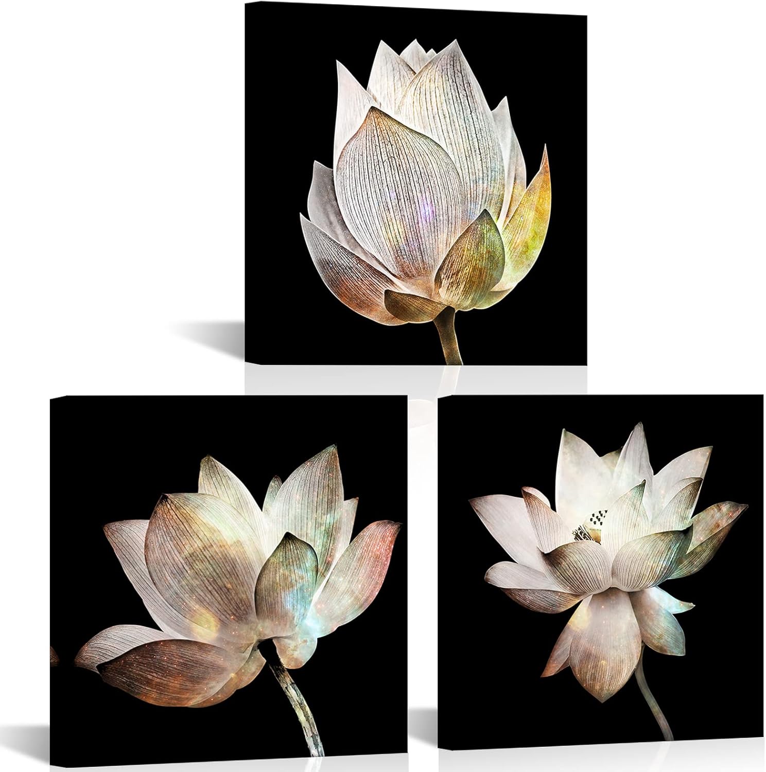 VVOVV Wall Decor Lotus Flower Canvas Wall Art Starry