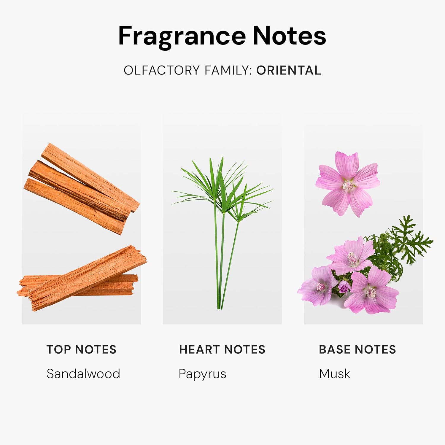SCENTEMOTION Santal Essential Oils for Diffuser | Aromatherapy Fragrance Oil with Notes of Sandalwood, Musk, & Papyrus | Luxury Scent Oil | 4.05 fl oz, 120ml - Image 4