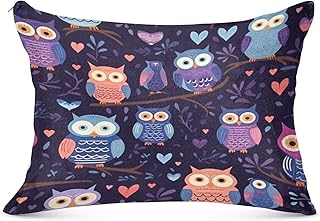 Bulletgxll Cartoon Owls Plush Pillowcase Super Soft and Cozy Luxury Pillow Cases Standard Size Pillow Covers with Zipper Closure, 20x30 Inch