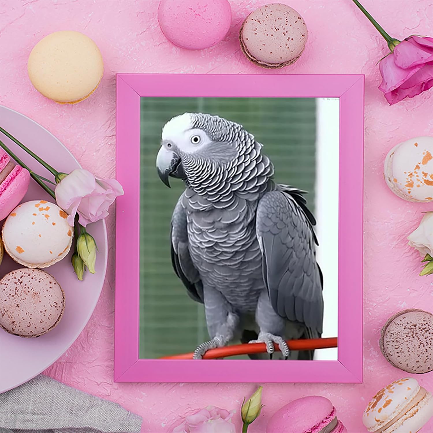 5D DIY Diamond Art Painting Kits for Adults African Grey Parrot DIY Paint with Round Diamond Gems Painting Art Craft for Home Wall Decor 12x16Inch/30x40cm