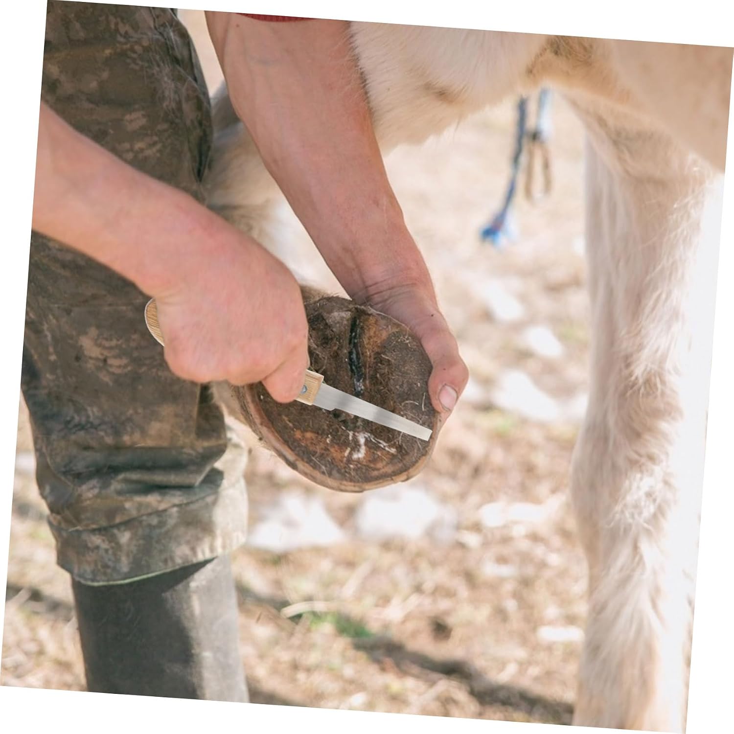 Mipcase 2pcs Stainless Steel Horseshoe Files for Hoof Trimming Ergonomic Portable Horse Cattle Cutting Tools Efficient Hoof Care for Optimal Riding