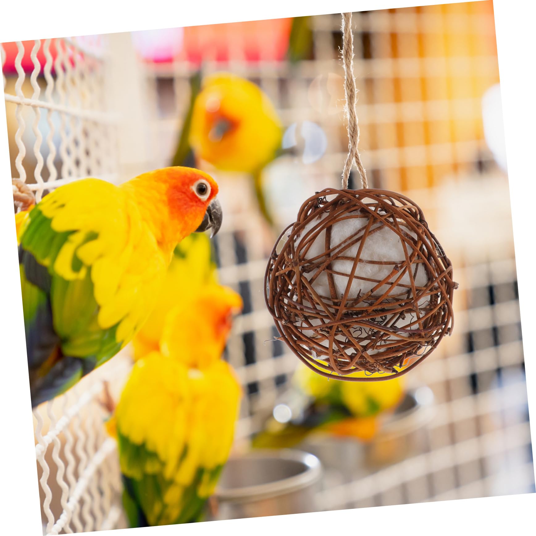 BESPORTBLE 3pièces Jouet Suspendu à Mâcher pour Oiseaux Accessoire De Détente Jeu pour Perroquets Et Petits Oiseaux