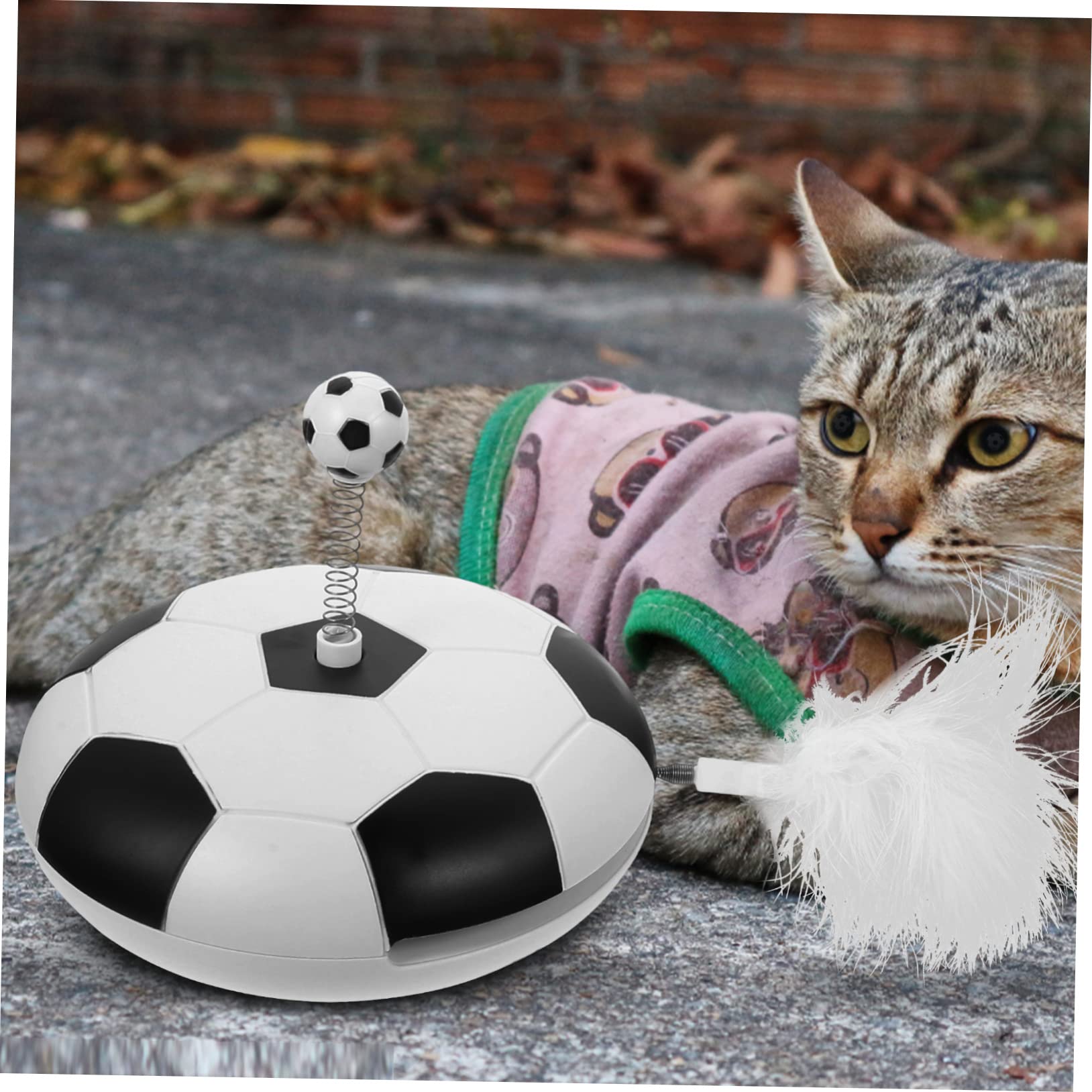 Toddmomy Interaktives Katzen-Spielzeug Mit Geräuschen Automatisches Selbstteasendes Fußball-Design Für Katzen Fördert Bewegung Und Spielspaß Im Innenbereich