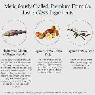 3-in-1 Marine Collagen Peptides Powder + Organic Vitamin C Antioxidant + Biotin for Hair Growth Skin Nail Beauty, NON-GMO Hydrolyzed Collagen Powder Supplement, Collagen for Women Men, Colageno 11.3oz