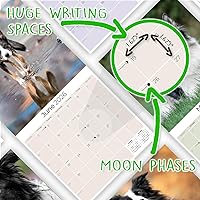 Vista 1072 de Razas de Perros 2017