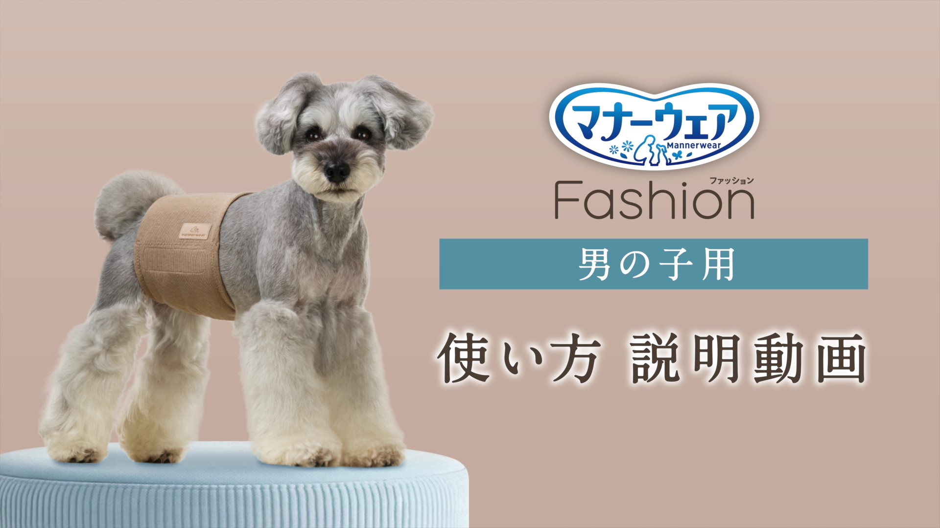 Amazon.co.jp: マナーウェア ファッション 男の子 M スタートセット