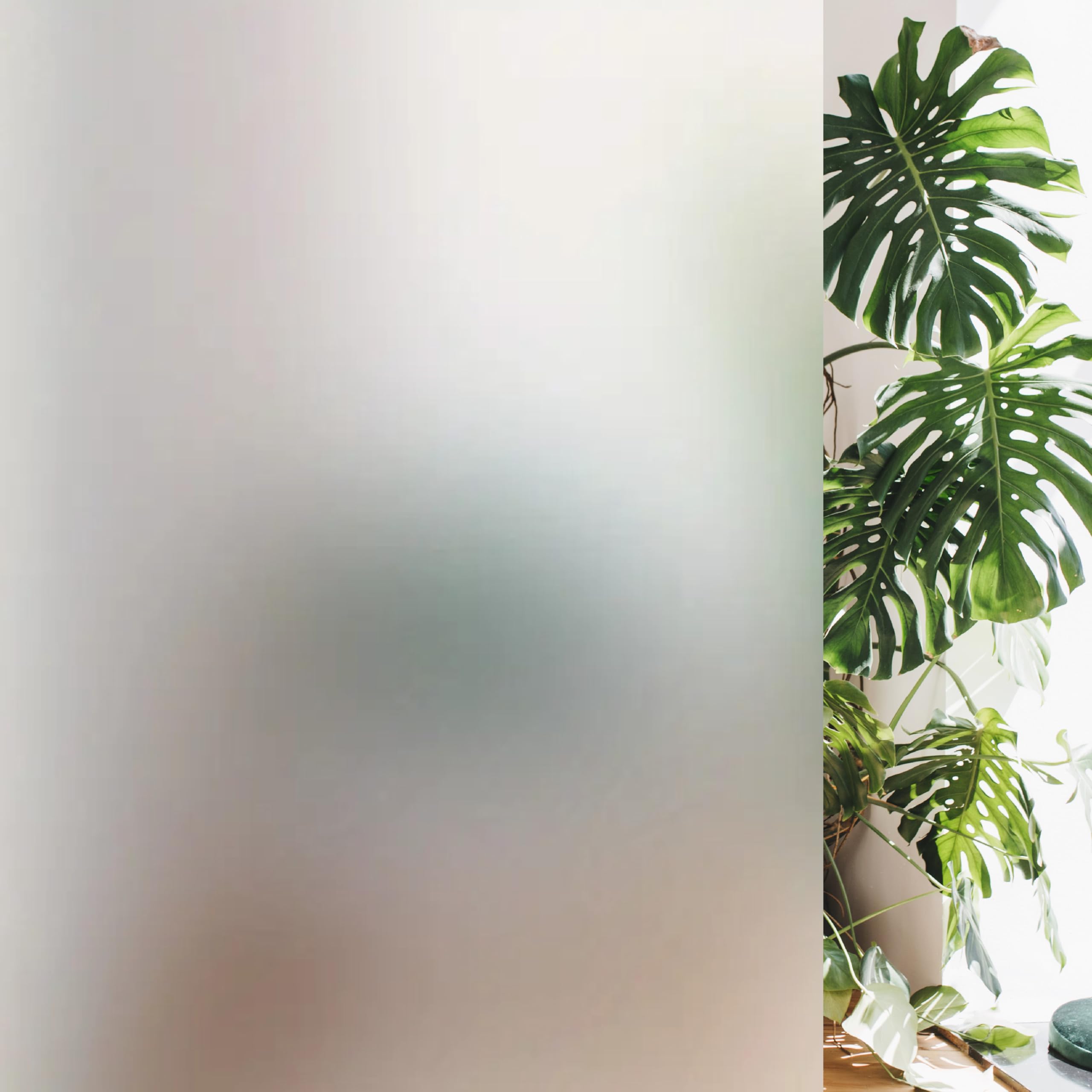 StickersWall Window Film Privacy Frosted Window Film Opaque Vinyl Stickers for Glass Windows Frosting Self Adhesive Sun Block Home Bathroom Office (61cm x 200cm)