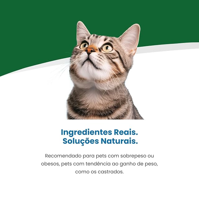 Foto 4 de 8 de Vet Life Natural Diet Cat Obesity