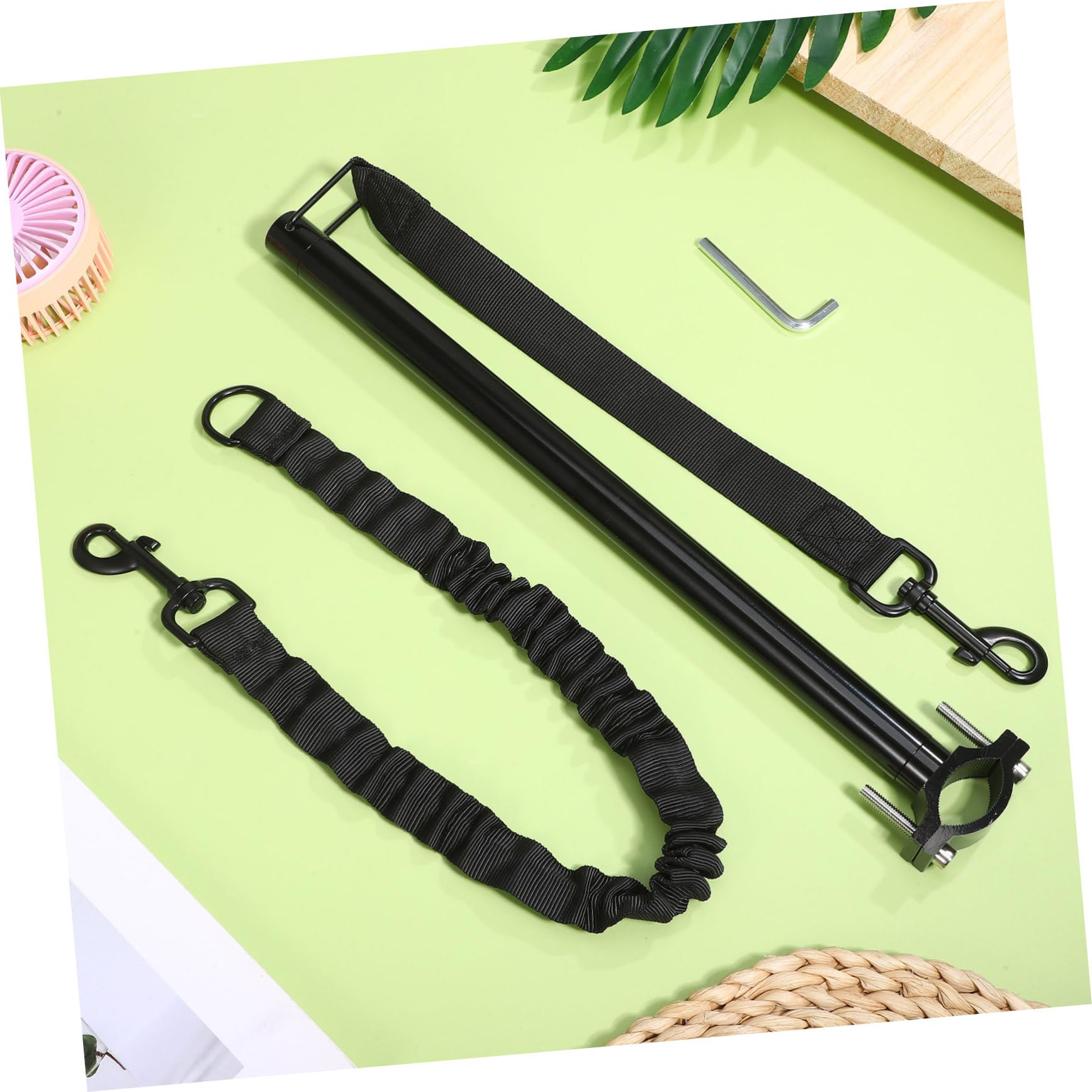 Laisse pour Chien Rétractable de Vélo, Ensemble Démontable Noir
