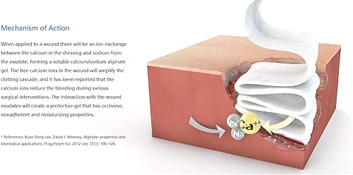 Miniatura 10 de Pivot Apósito para heridas de alginato de calcio  Primeros Auxilios Naturales  Apósitos 4x5, Caja de 10