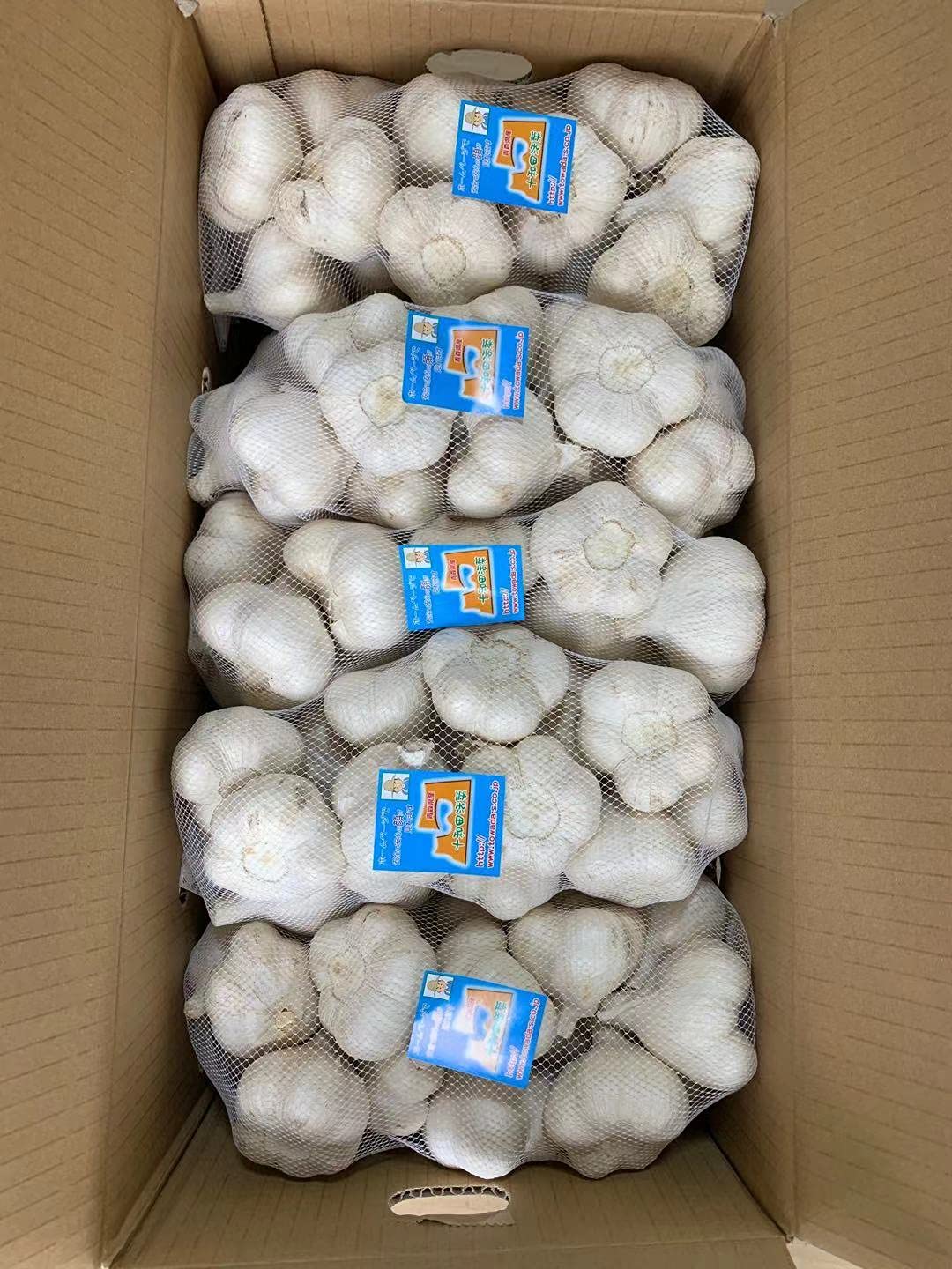 Amazon.co.jp: にんにく 業務用Lサイズ6kg 青森県産ホワイト六片種