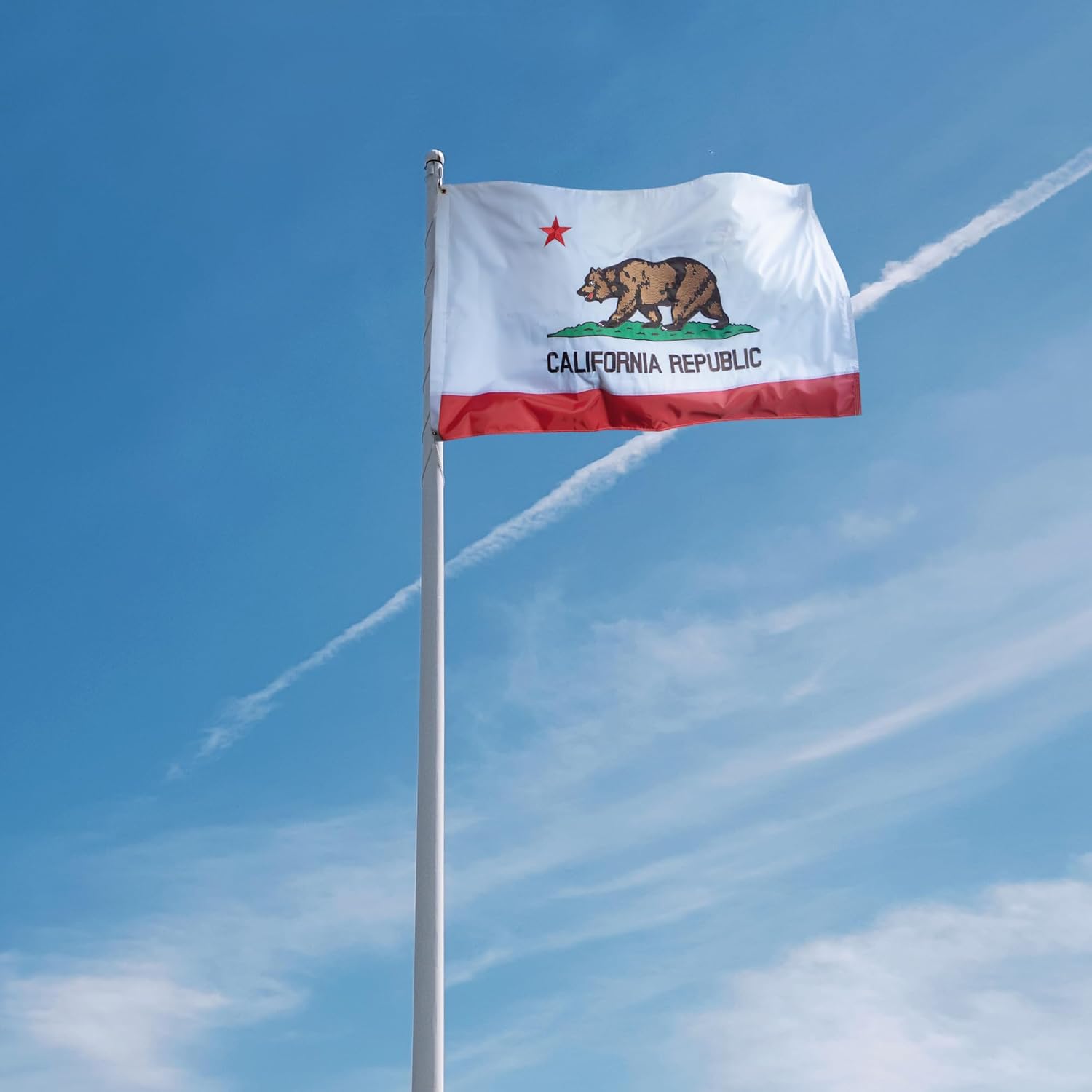 Anley EverStrong Series Embroidered California State Flag 3x5 Feet - Embroidery & Heavy Duty Canvas Header - 4 Rows of Lock Stitching - Californian CA Flags with Brass Grommets 3 X 5 Ft