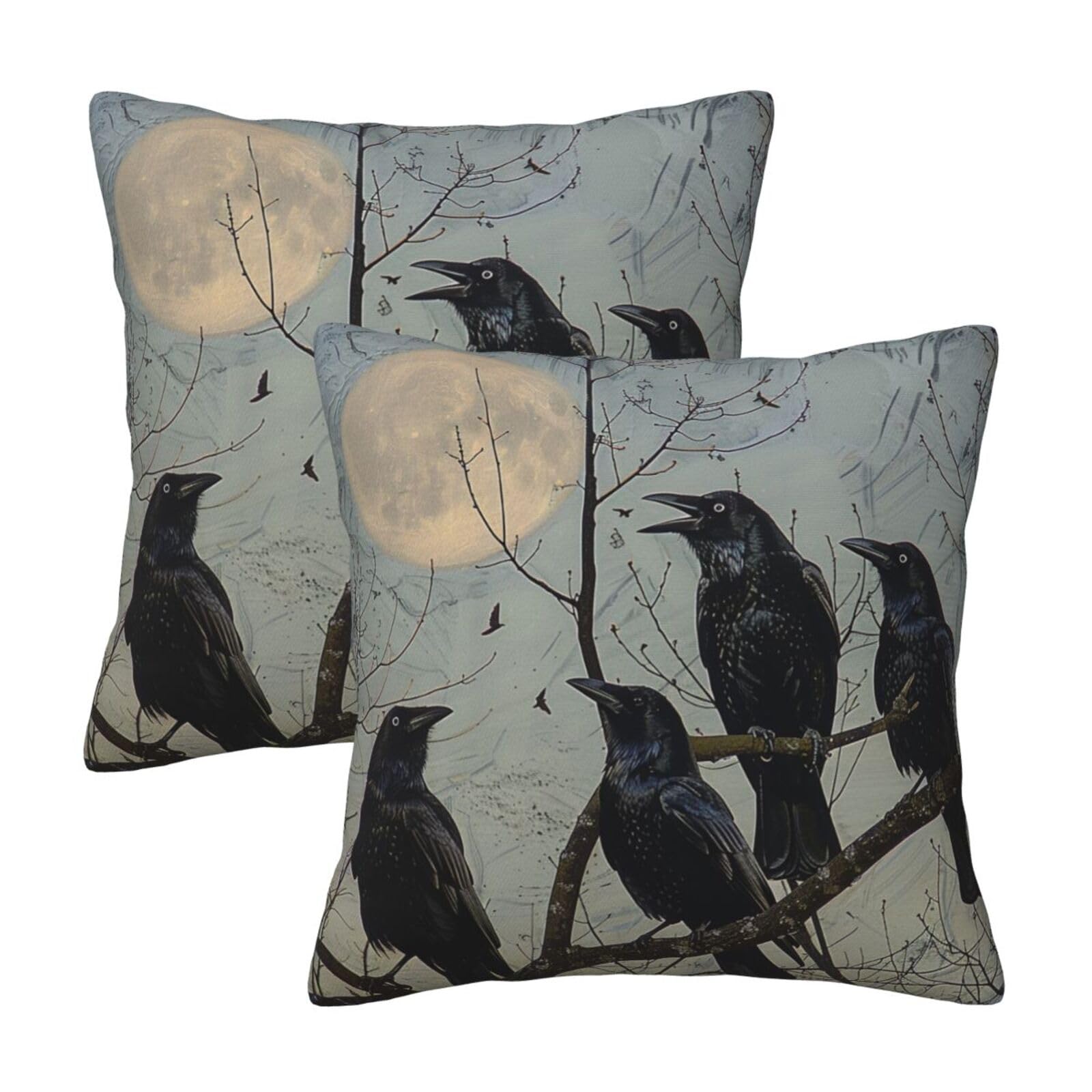 Black Crow Birds Throw Pillow Cases 2 Pack Square Pillowcases Soft Pillow Protectors for Couch Livingroom Sofa Bed Office Car,30x30 CM
