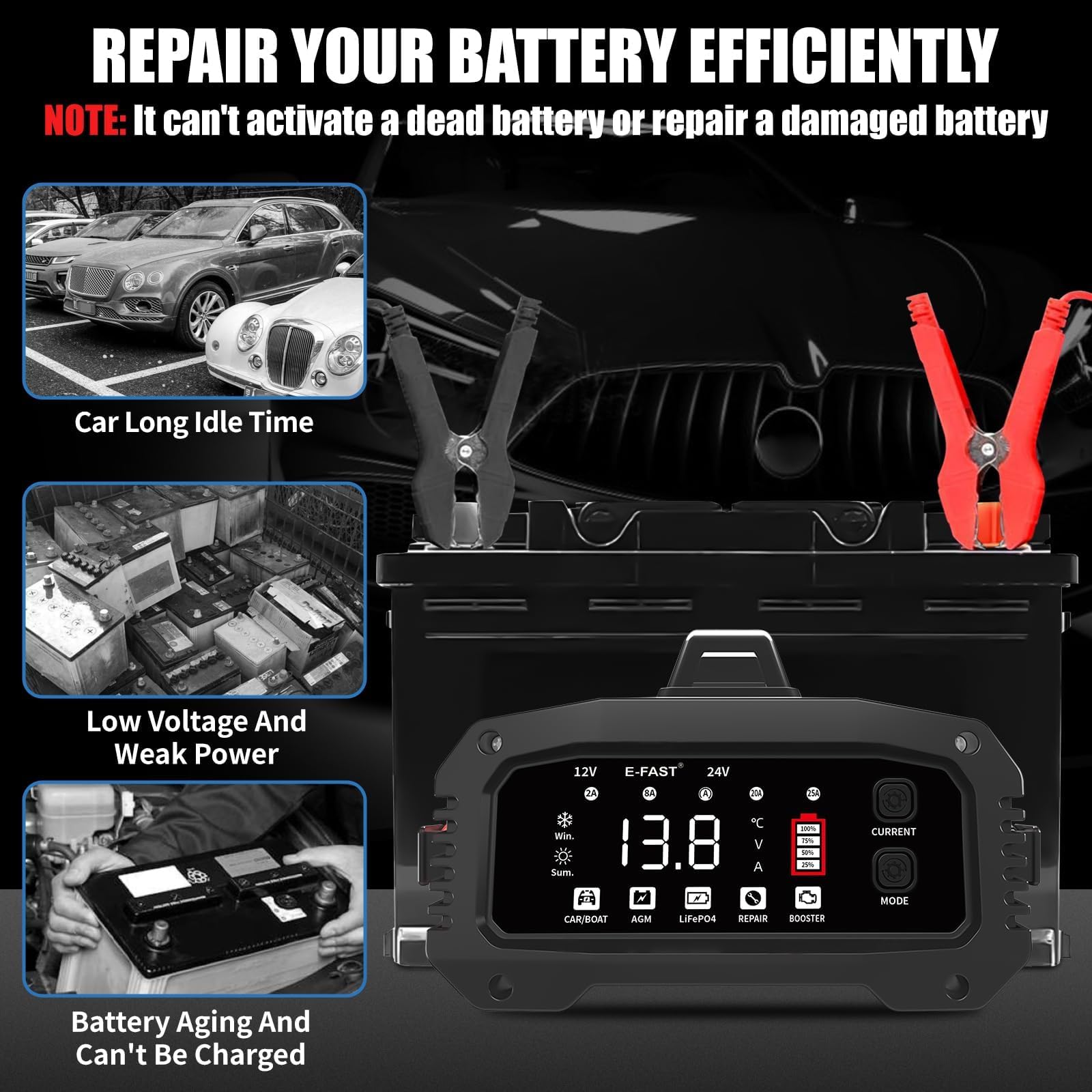 E-FAST Caricabatterie 25 A, caricabatterie all-in-one da 12 V/24 V, caricabatterie per LiFePO4, piombo acido, AGM, batterie al litio, marine, barche e a ciclo profondo, corrente regolabile a 5 livelli