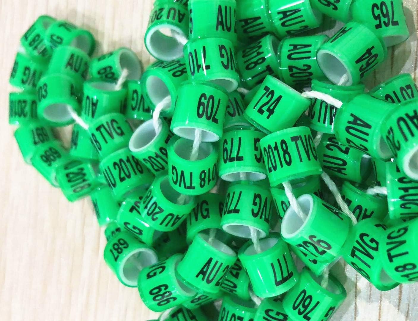 100PCS 8MM Customized Personal Colorful All Plastic Racing Pigeon Bird Dove Pigeon Leg Ring Bands Green