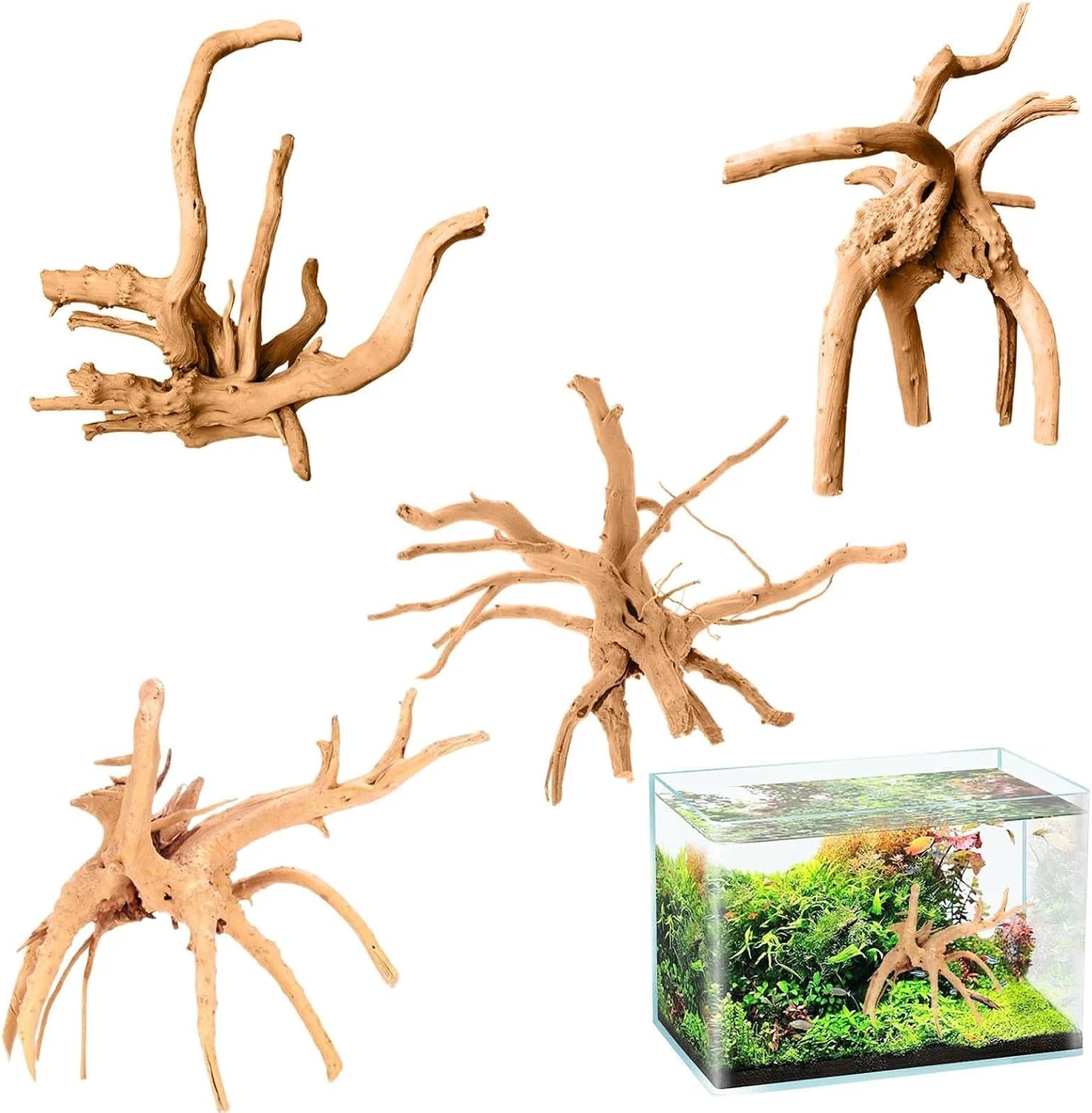 4 Legni Galleggianti e Radici per Acquario Naturale