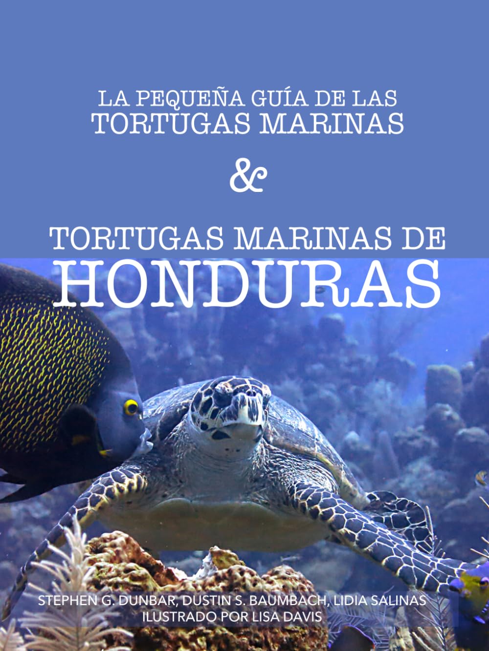 LA PEQUEÑA GUÍA DE LAS TORTUGAS MARINAS & TORTUGAS MARINAS DE HONDURAS