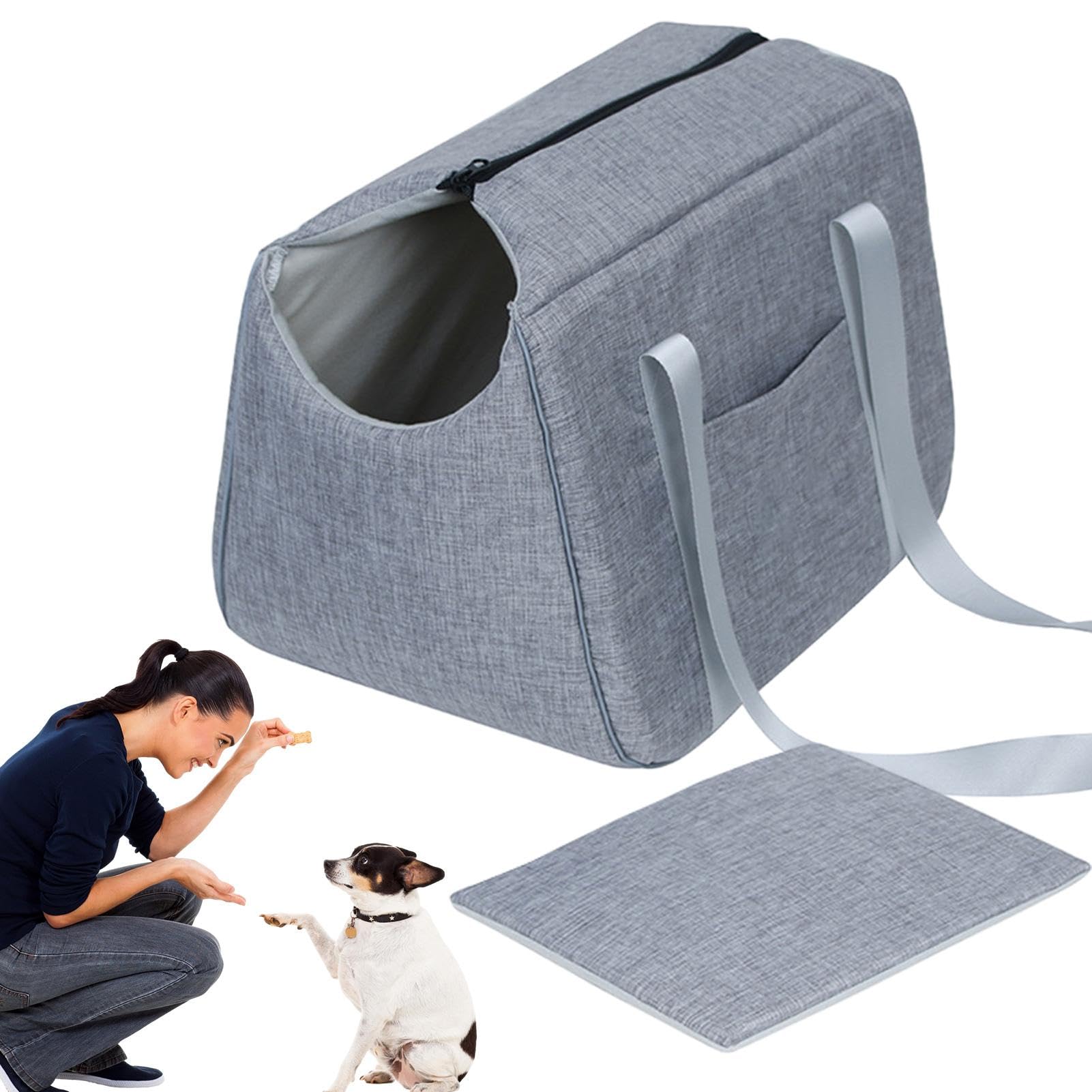 Sac de transport pour chien respirant Teksome pour sorties
