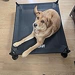 Review Image by Professor J.