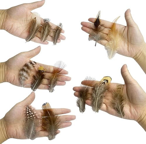 Miniatura 3 de 390 plumas naturales de 13 estilos surtidos de plumas para atrapasueños y manualidades (13 estilos390 piezas)