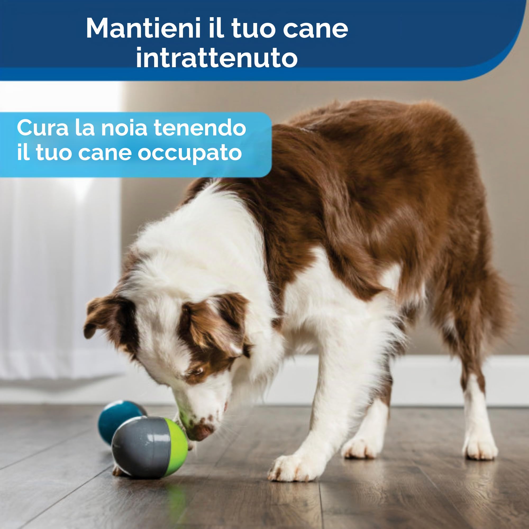PetSafe Ricochet, Giocattoli Elettronici per Cani, Gioco Interattivo Sonoro per Animali Domestici, Giocattoli Intelligenti, Stimola L'Esercizio Fisico