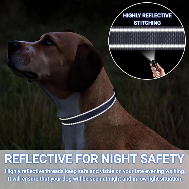 Foto 5 de 7 de Collar personalizado para perro SEOUGEE con hebilla de metal grabada