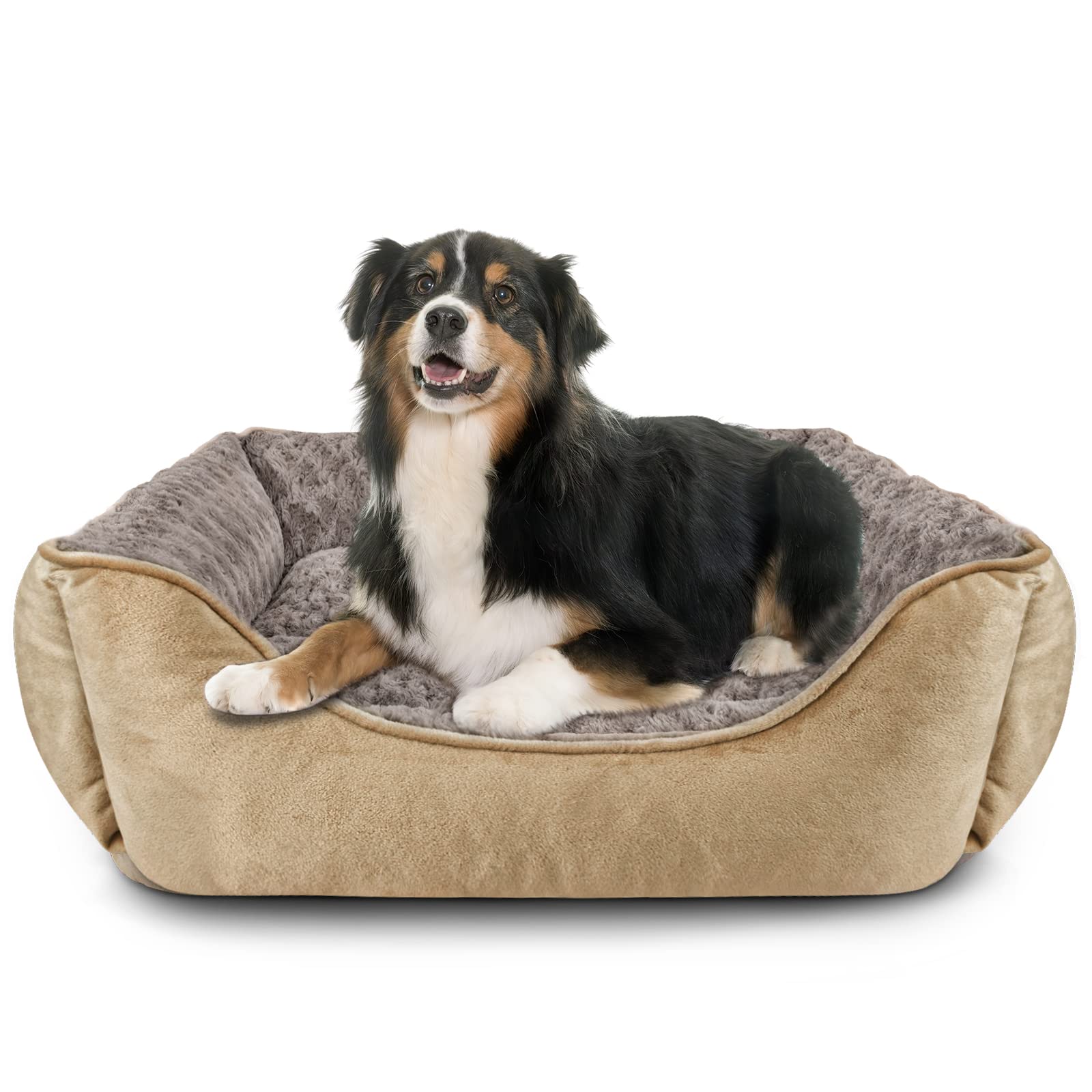 Hot petco extra large dog beds New Arrivals