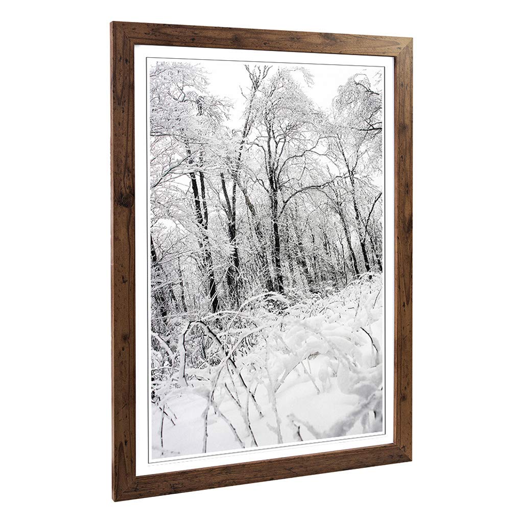 Big Box Art Framed Print of Winter Forest Woodland Landscape Design | Wall Art Picture | Home Decor for Kitchen, Living Room, Bedroom, Hallway, Walnut, A2 / 24.5x18 Inch / 62x45cm