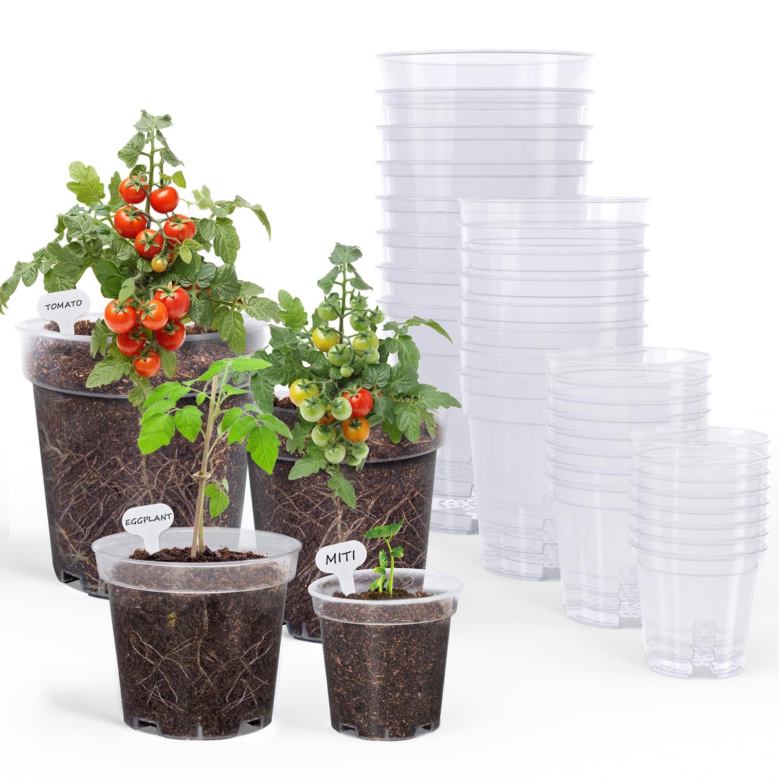 homenote 3/4/5/6.7 Inch Clear PP Nursery Pots with Drainage Holes (36 Pcs)