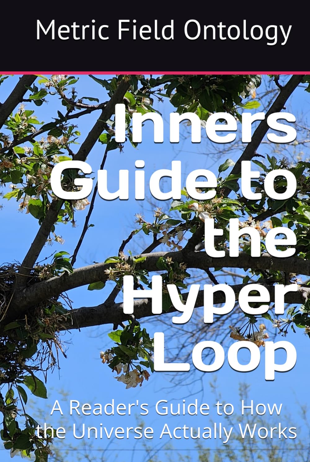 Inners Guide to the Hyper Loop: A Reader's Guide to How the Universe Actually Works (Metric Field Ontology)