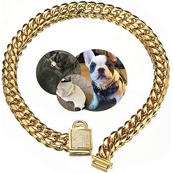 gold necklace dog collar